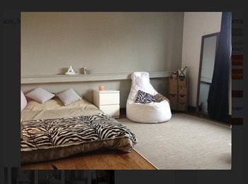 Appartager BE - NOUVEAU; Agréable maison au calme a louer en coloc.(ou en famille), Namur - 455 € pm