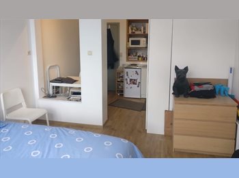 Appartager BE - colocation quartier historique de liège, Liège - 540 € pm