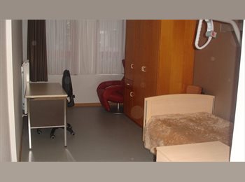 Appartager BE - Kot, Étudier dans le silence d'un couvent, Bruges - 355 € pm