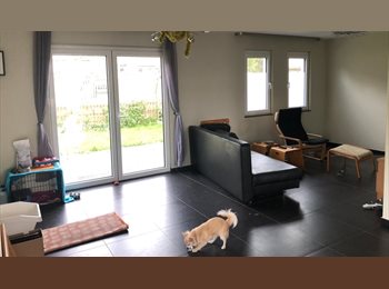 Appartager BE - Chambre 10m2 à louer dans Maison proximité LLN, Mont-Saint-Guibert - 440 € pm