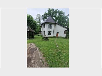 Appartager BE - Chambre  à louer dans une très jolie maison en pleine nature, très calme, Louvain-la-Neuve - 500 € pm