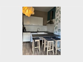 Appartager BE - Chambre meublée à louer, Liège - 500 € pm