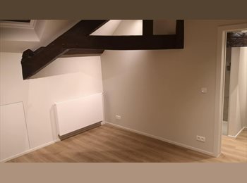 Appartager BE - Chambre dans une colocation de 8 en Centre-ville (Bruxelles), Bruxelles - 766 € pm