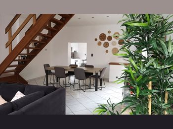 Appartager BE - !! Superbe colocation de 4 - plus qu'1 chambre dispo !!, Châtelet - 490 € pm