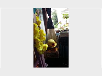 Roomgo BR - PERDIZES  VAGAS PARA MOÇAS PX. PUC, Perdizes - R$ 750 Por mês