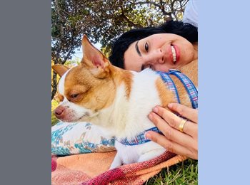 Roomgo BR - Luciana  - 47 - Sorocaba