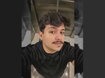 Roomgo BR - Felipi - 23 - Brasília