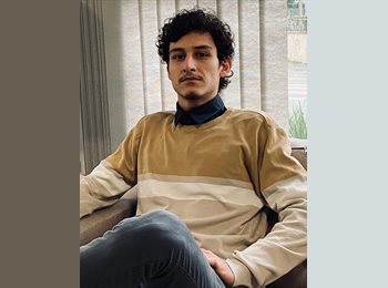 Roomgo BR - Pedro Henrique Moraes da Silva - 21 - Curitiba