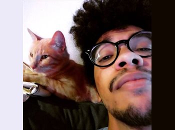 Roomgo BR - Alisson - 28 - Brasília