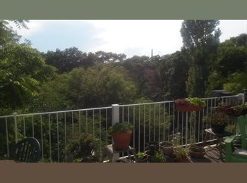Roomgo CA - Large, light-filled bedroom with balcony by High Park, Toronto - $1,200 pcm