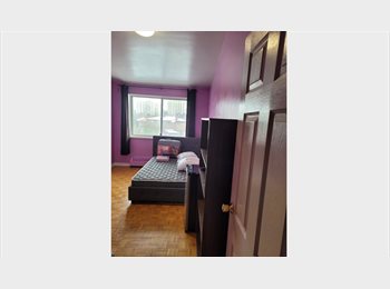 Roomgo CA - Room available for shared accommodation kippling and Dixon area, Toronto - $850 pcm