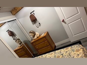 Roomgo CA - Room for rent, Toronto - $600 pcm