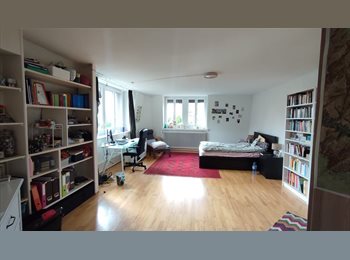 Roomgo CH - Chambre dans une coloc à St-Blaise, Neuchâtel - 695 CHF / Mois