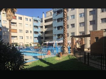 CompartoDepto CL - Buscamos roomie en plaza ñuñoa, Ñuñoa - CH$300.000 por mes