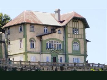 CompartoDepto CL - Centro de la ciudad,cerca de todo, Viña del Mar - CH$290.000 por mes