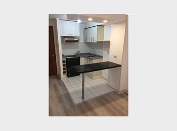 CompartoDepto CL - DEPARTAMENTO COMPLETO ACOGEDOR Y EQUIPADO, Santiago Centro - CH$320.000 por mes