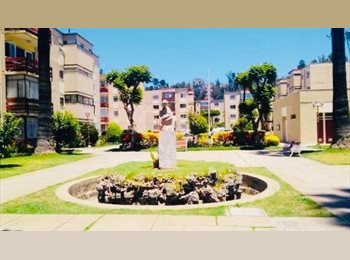 CompartoDepto CL - Arriendo habitacion con baño privado centro de viña del mar, Viña del Mar - CH$320.000 por mes
