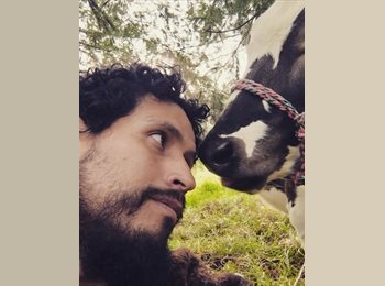 CompartoApto CO - Nicolás  - 35 - Bogotá