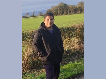 Roomgo ES - André  - 29 - Madrid