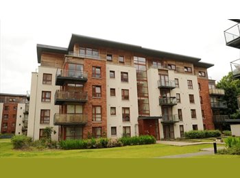 Roomgo IE - Large Double Room, Dublin - €800 pcm