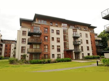 Roomgo IE - Single Bedroom, Dublin - €600 pcm