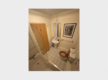 Roomgo IE - Room with private bathroom in Drumcondra, Dublin - €1,000 pcm