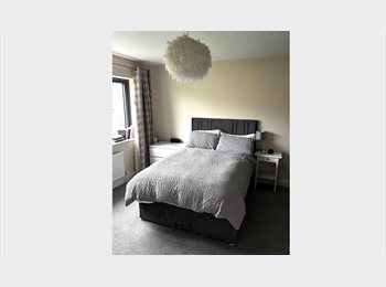 Roomgo IE - Large double room to rent in spacious four bedroom house, Ireland - €650 pcm