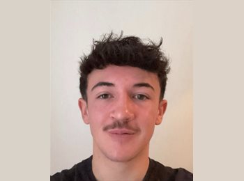 Roomgo IE - Rozier - 19 - Cork