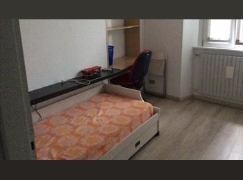 Roomgo IT - Ampia camera singola in appartamento in centro Monza, Monza - 300 € al mese