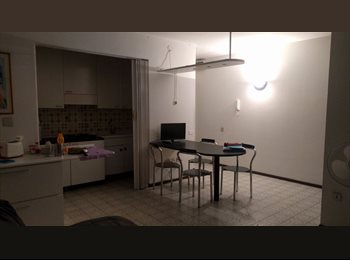 Roomgo IT - Camera singola in posto tranquillo, Trento - 310 € al mese