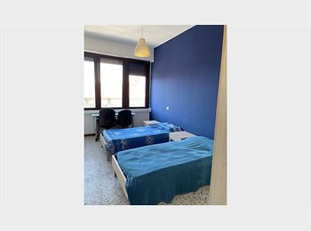 Roomgo IT - Splendida camera Luminosissima, Centrale - Loreto - 800 € al mese