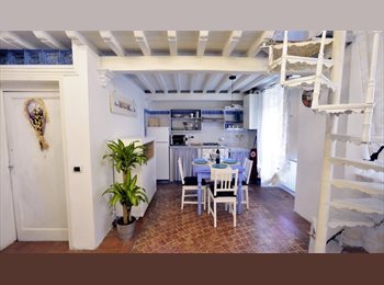 Roomgo IT - Luminoso appartamento in Oltrarno, Firenze - 1.200 € al mese