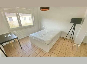 Appartager LU - Chambre en location en appartement Kirchberg, Luxembourg, Luxembourg - 800 € / Mois