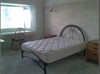 Roomgo MX - Bosques de las Lomas, Miguel Hidalgo - MX$10,000 por mes
