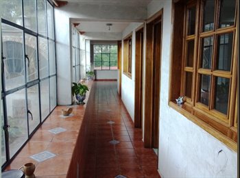 Roomgo MX - RECAMARAS  DISPONIBLE, Coyoacán - MX$5,500 por mes