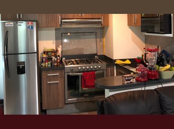 Roomgo MX - Departamento en Reforma/Insurgentes (CDMX Centro), Cuauhtémoc - MX$10,000 por mes