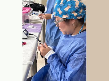 Roomgo MX - ari - 43 - Coyoacán