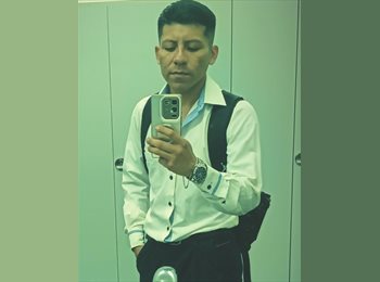 Roomgo MX - Luis - 27 - Querétaro