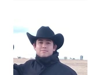 Roomgo MX - Guillermo - 30 - Querétaro