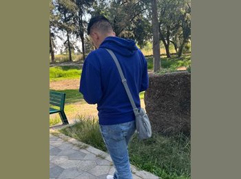 Roomgo MX - Antonio Alexander Ruiz Andrade  - 19 - Gustavo A. Madero