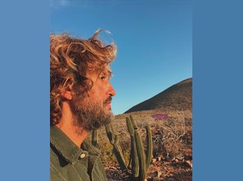 Roomgo MX - Oso - 18 - Cuauhtémoc