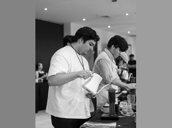 Roomgo MX - Raul  - 26 - Coyoacán