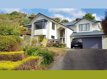 Roomgo NZ - Large Room in Churton Park, Wellington - $200 pw