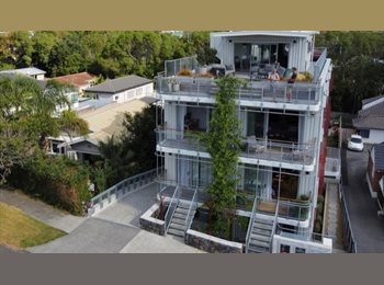Roomgo NZ -  Flatmate Wanted – Modern Eco-Friendly Apartment in Sandringham , Auckland - $390 pw