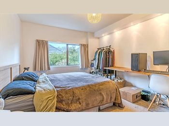 Roomgo NZ - Flatmate wanted for 2026 move in, Dunedin - $260 pw
