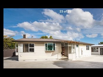 Roomgo NZ - Short term. 3 bdrm house, Palmerston North - $350 pw