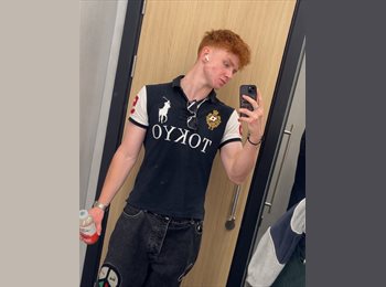 Roomgo NZ - Zach Damesin - 18 - Auckland