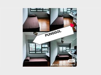 Roomgo SG - SIT PUNGGOL STUDENTS ALL WELCOME, HURRY UP, please do not miss., Punggol - $1,400 pm