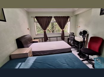 Roomgo SG - Centrally Located Jln Bukit Merah Room Rental, Bukit Merah - $920 pm