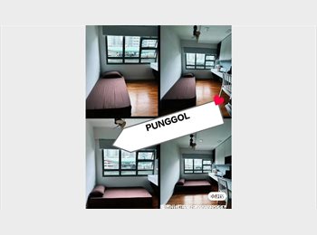 Roomgo SG - Rare, ONLY 1 in whole Singapore, HURRY, DON'T MISS. Walking 1 min TO LRT & 5 min to MRT, Punggol - $1,500 pm